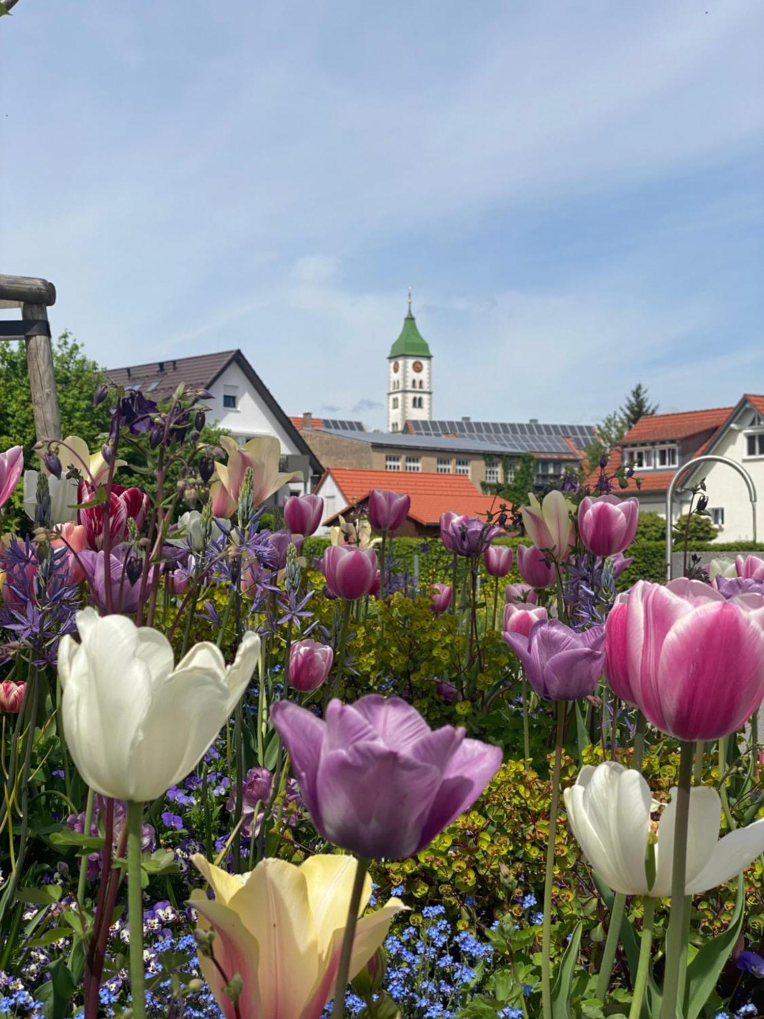 Apartment Schoene In Der Altstadt *