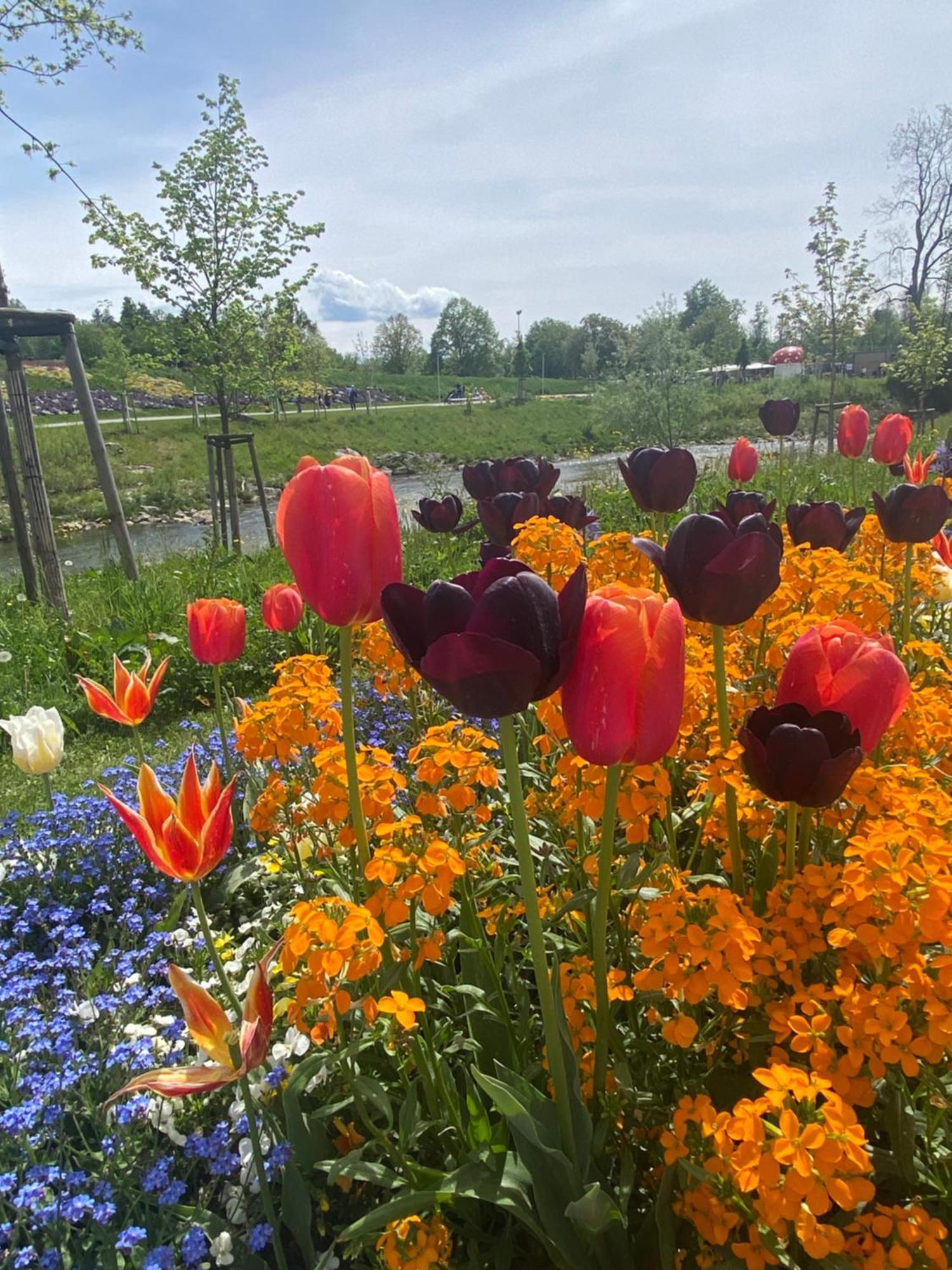 Schoene In Der Altstadt Wangen im Allgaeu