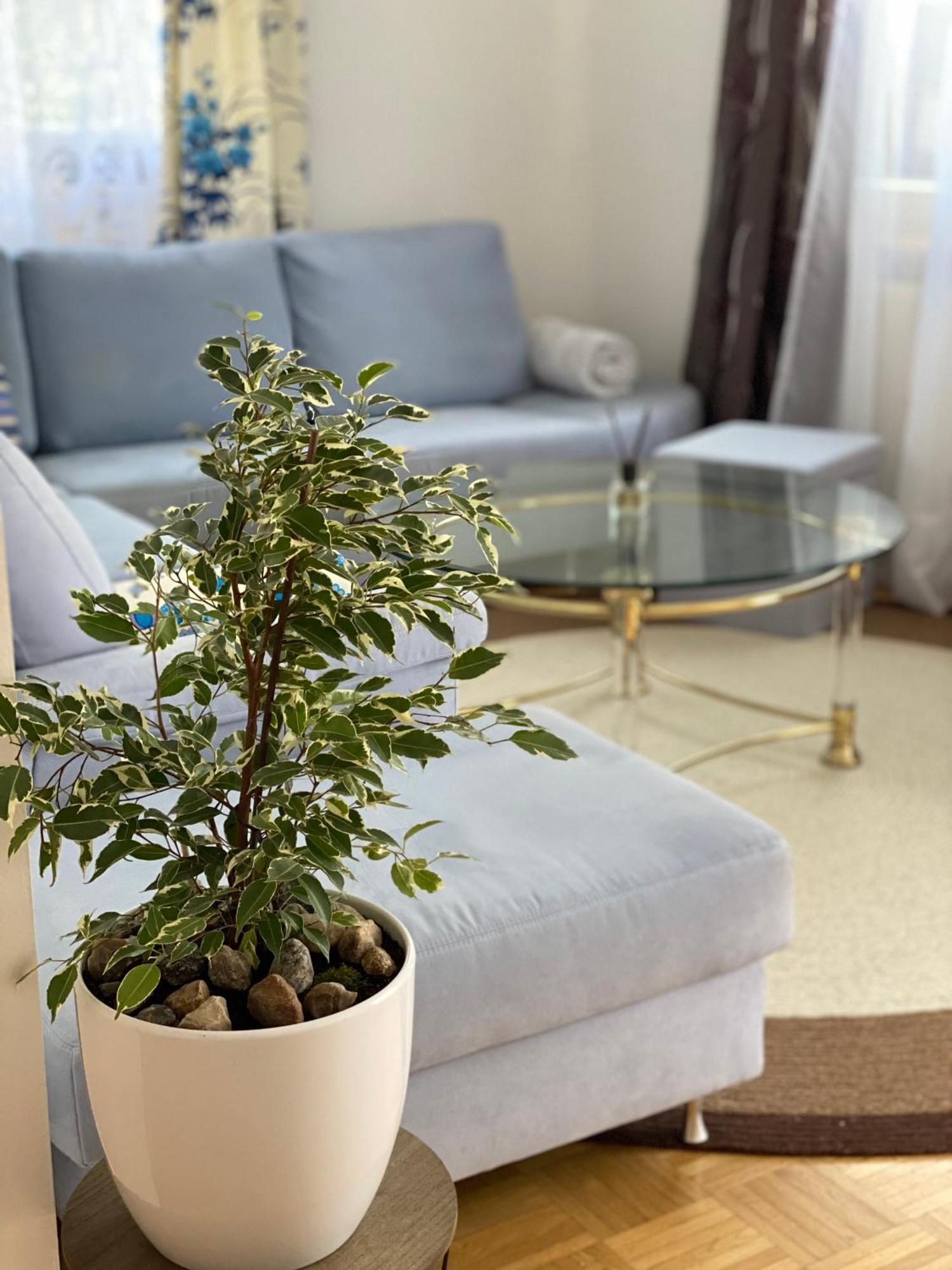 Schoene In Der Altstadt Apartment Wangen im Allgaeu